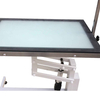 FT-802E-LED 简约型LED发光电动升降桌